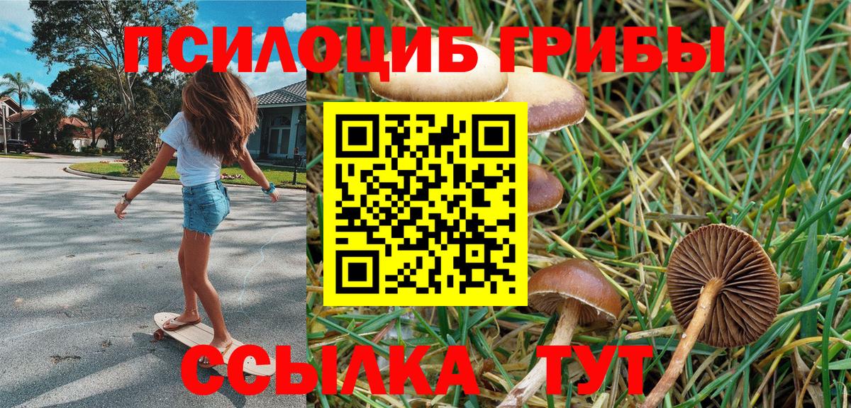 Анжеро-Судженск  Галлюциногенные грибы Cubensis  закладки  Вход с VPN 